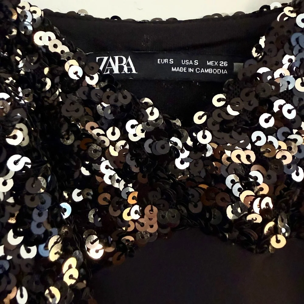 Zara Black and Silver Sequin Maxi Dress - Picture 6 of 6